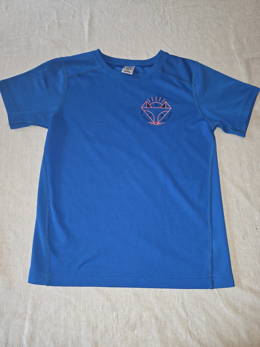 REI Blue Performance Tee